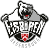 Eisbären Regensburg