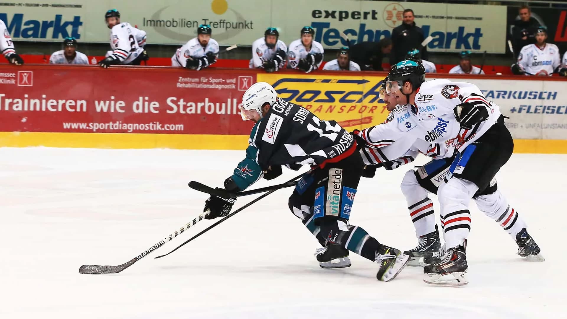 Starbulls erhalten Lizenz ohne Beanstandung