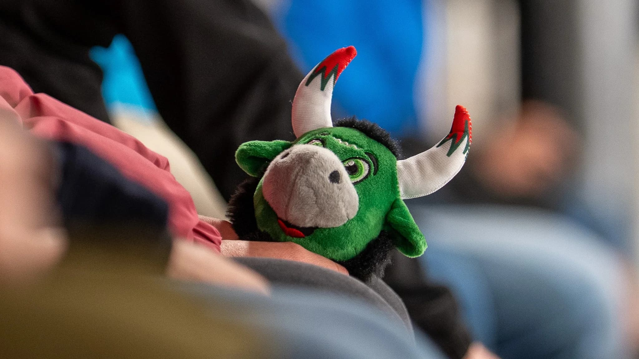 Familientickets: Gemeinsam die Starbulls erleben
