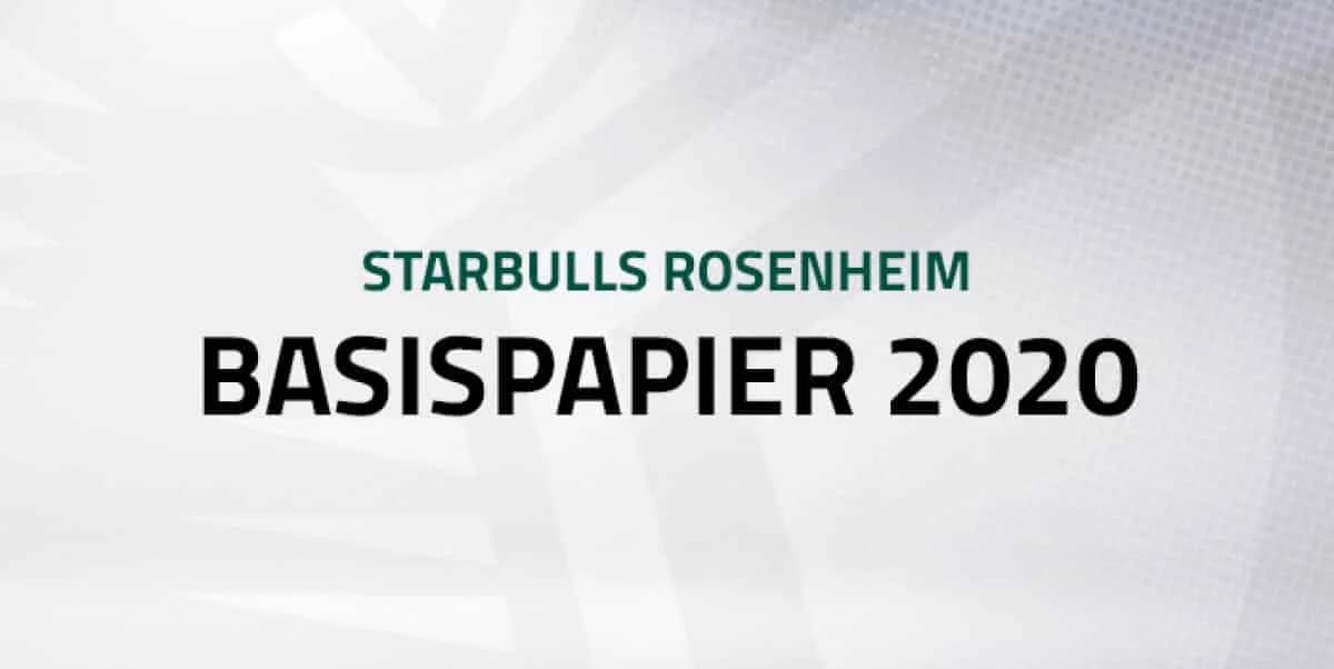 Basispapier 2020