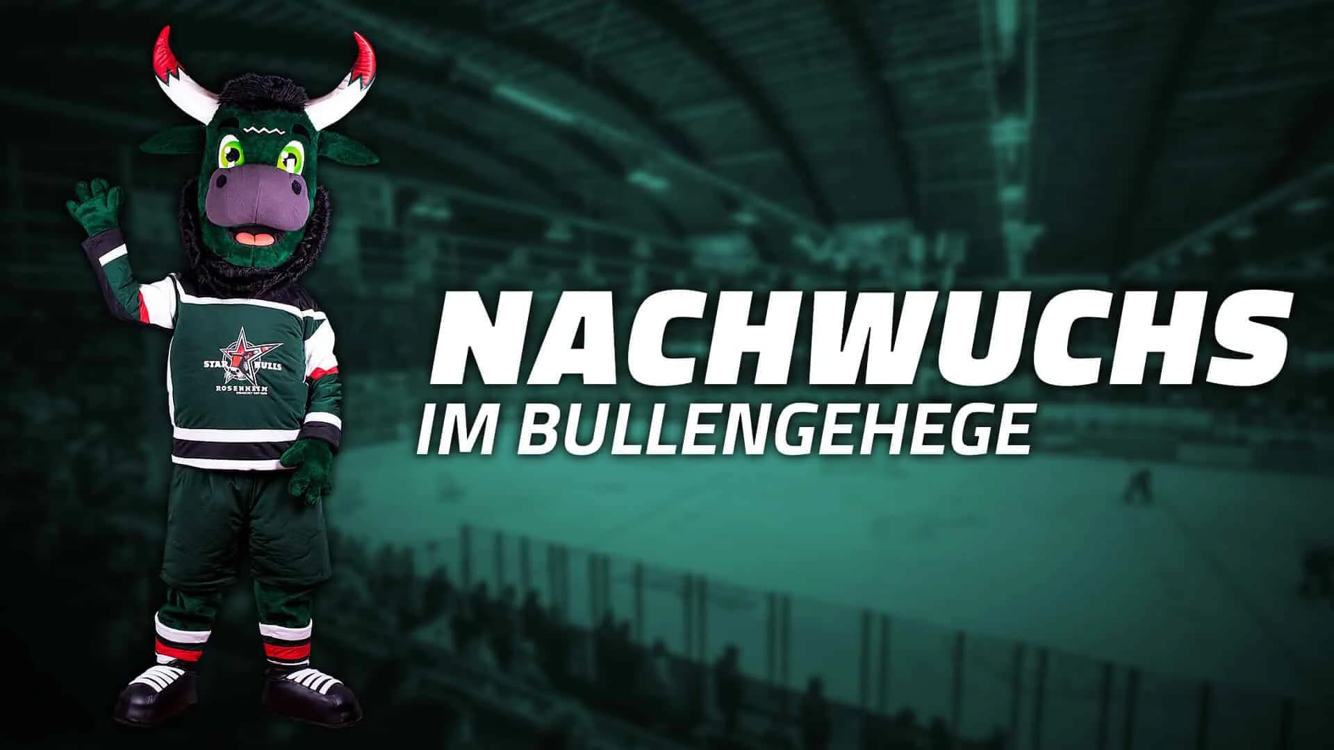 Nachwuchs im Bullengehege – SBR präsentiert Maskottchen-Nachwuchs