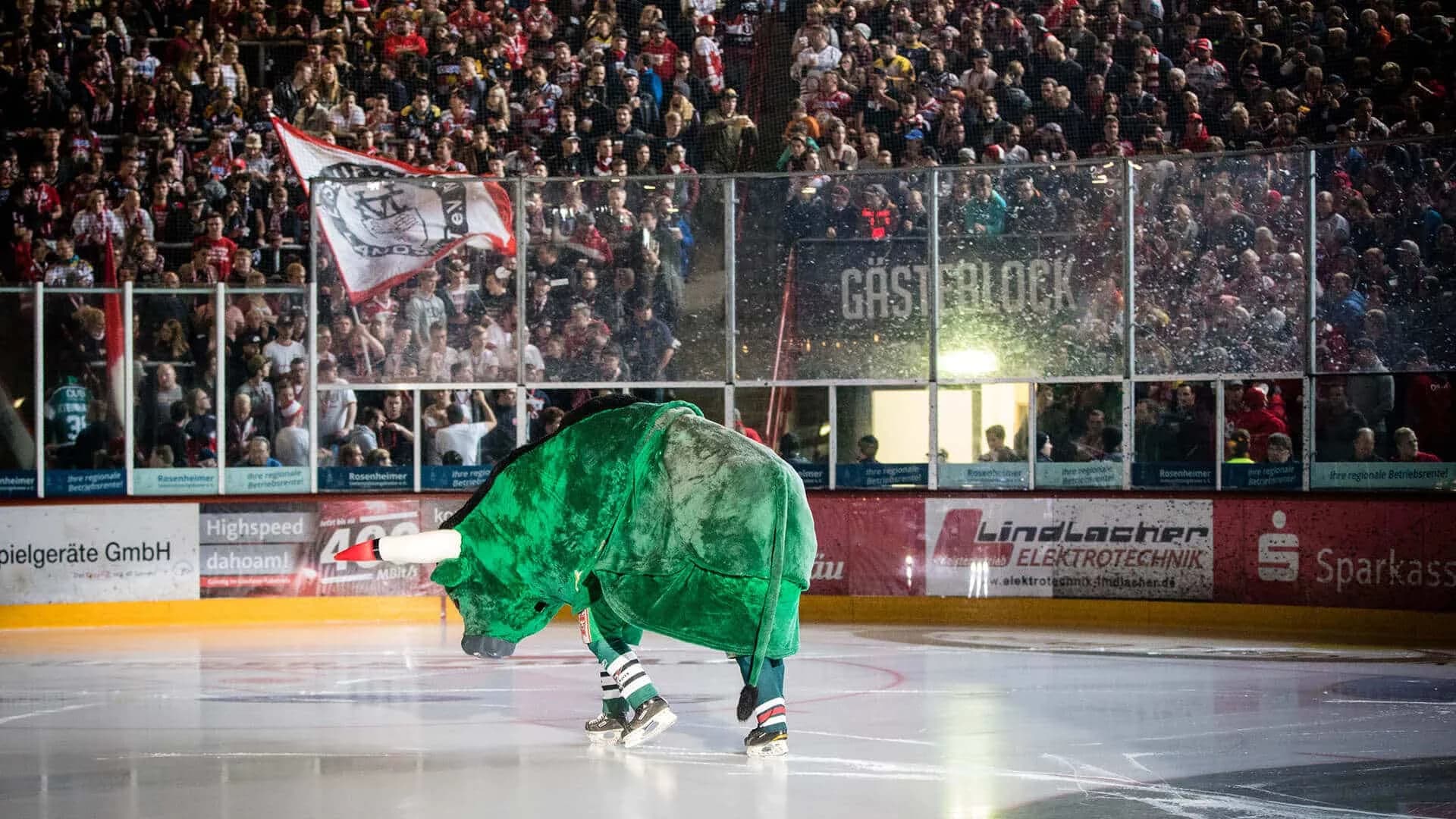 Derby in Landshut – Zuhause gegen Peiting