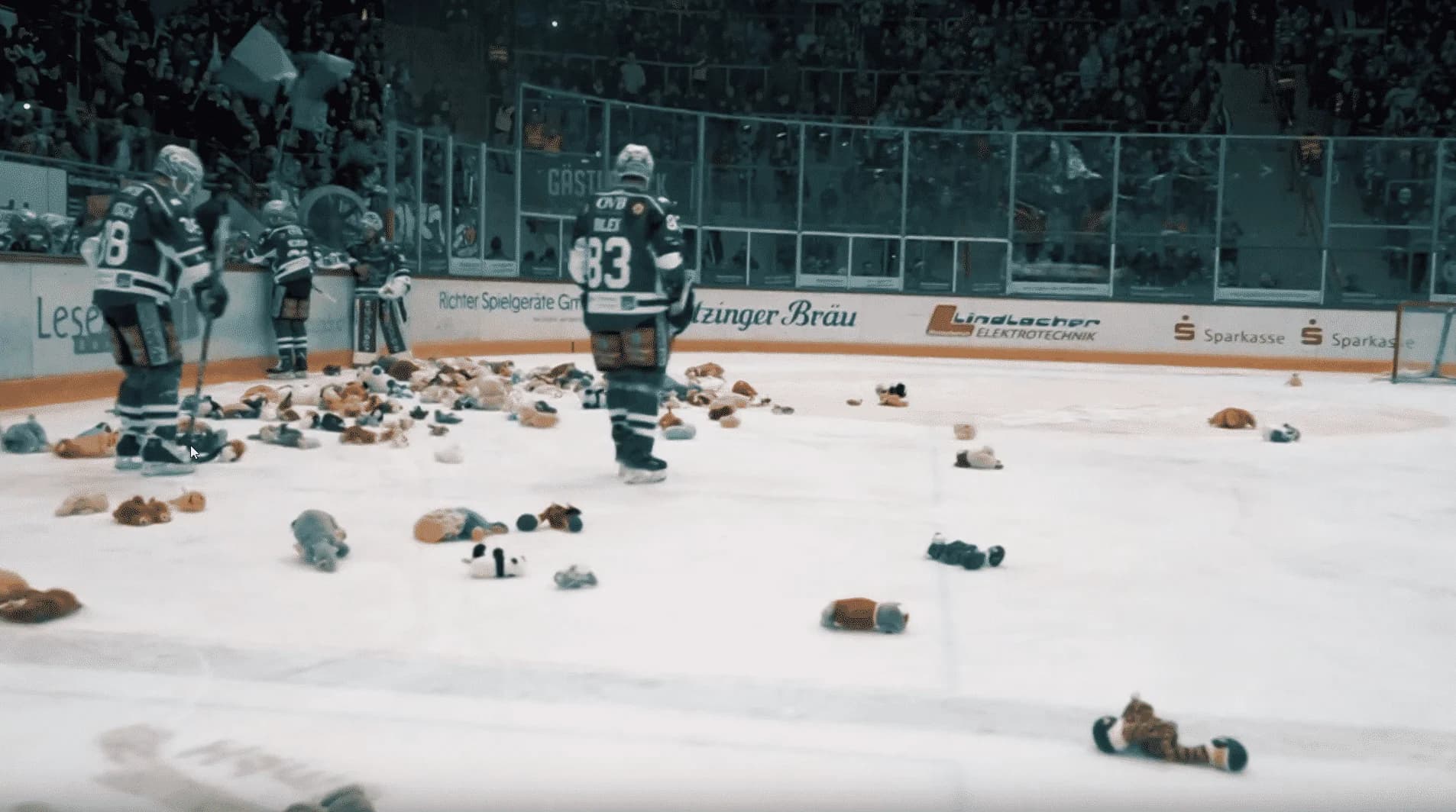 Starbulls Teddy Bear Toss 2018