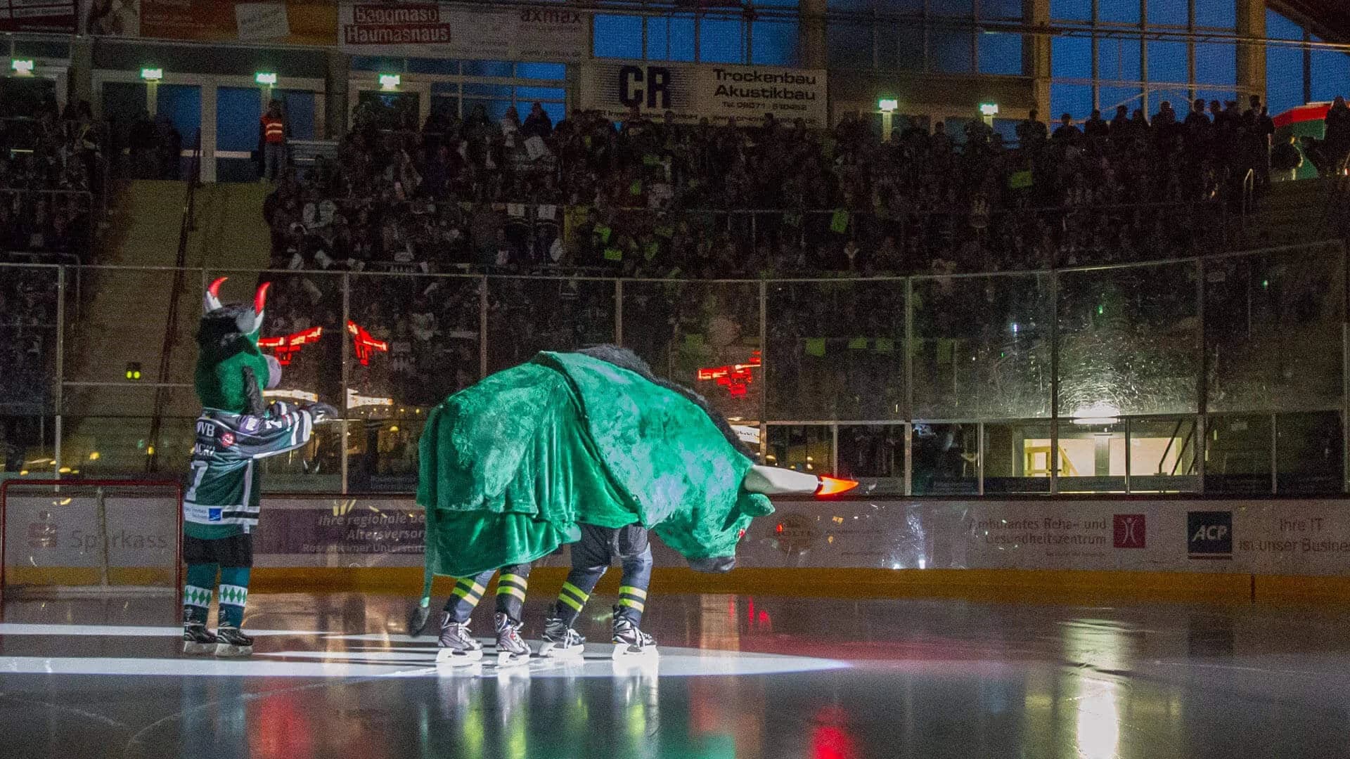 Starbulls Vorbereitungsprogramm 2019/2020