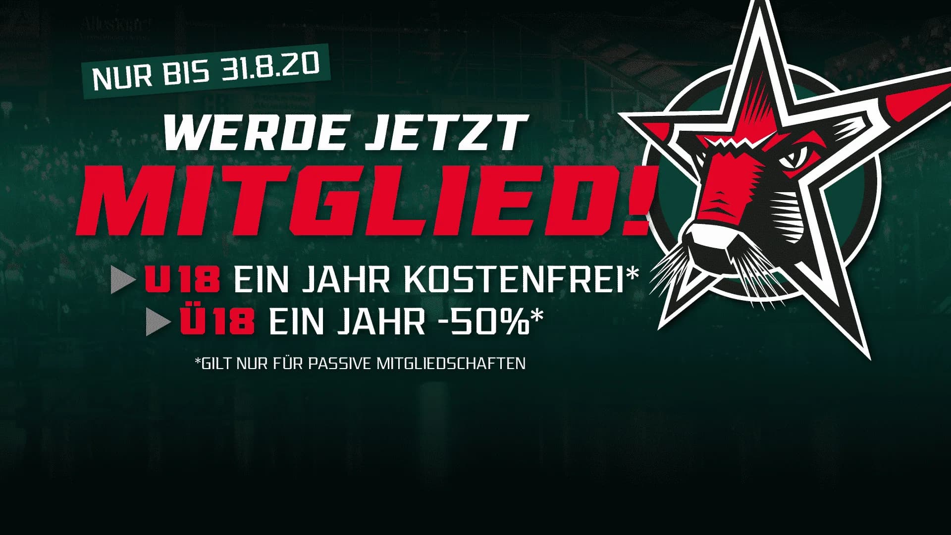 „We want you“ – Starbulls Mitgliederaktion startet ab sofort