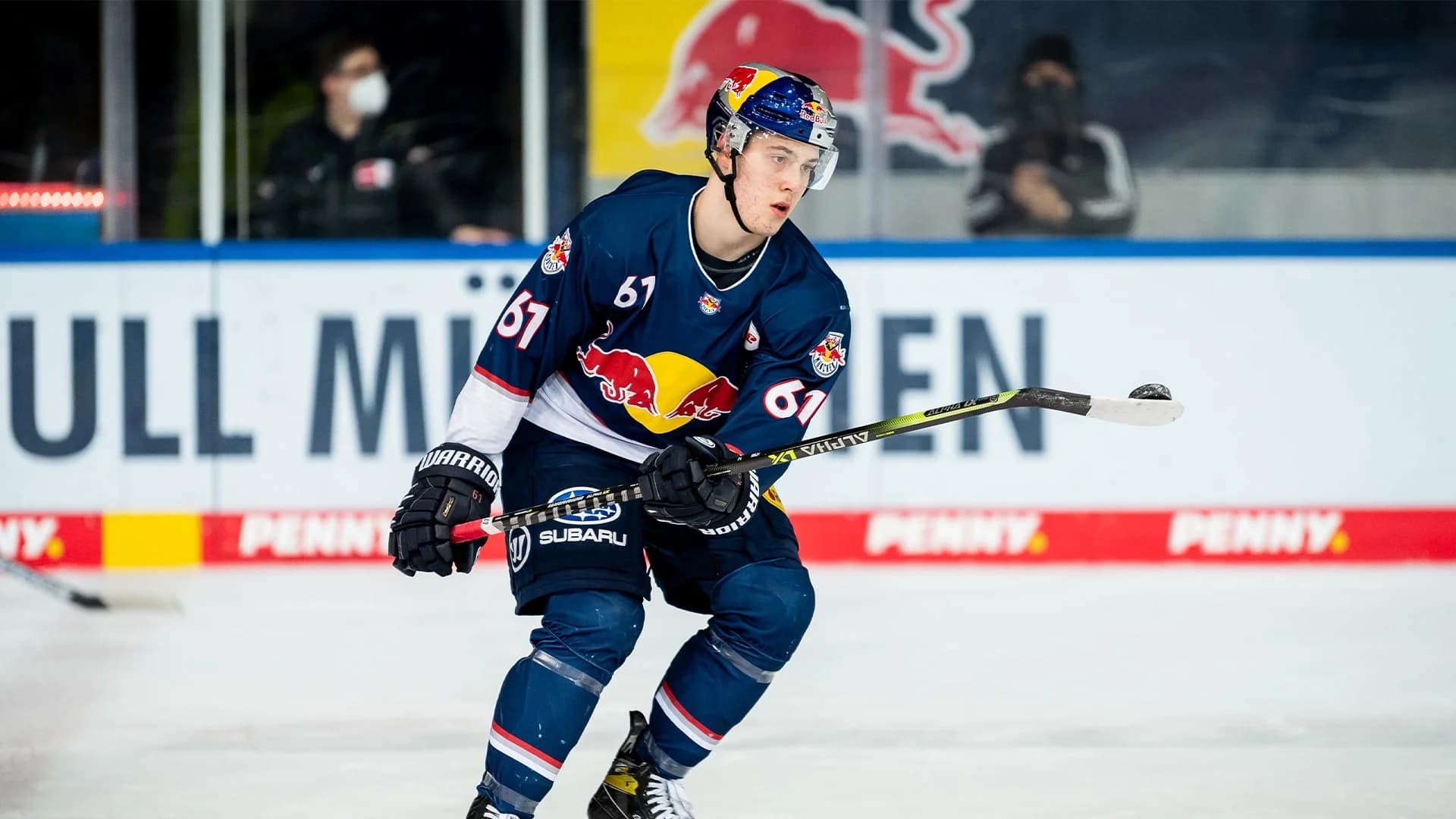 Cimmerman verstärkt die Starbulls