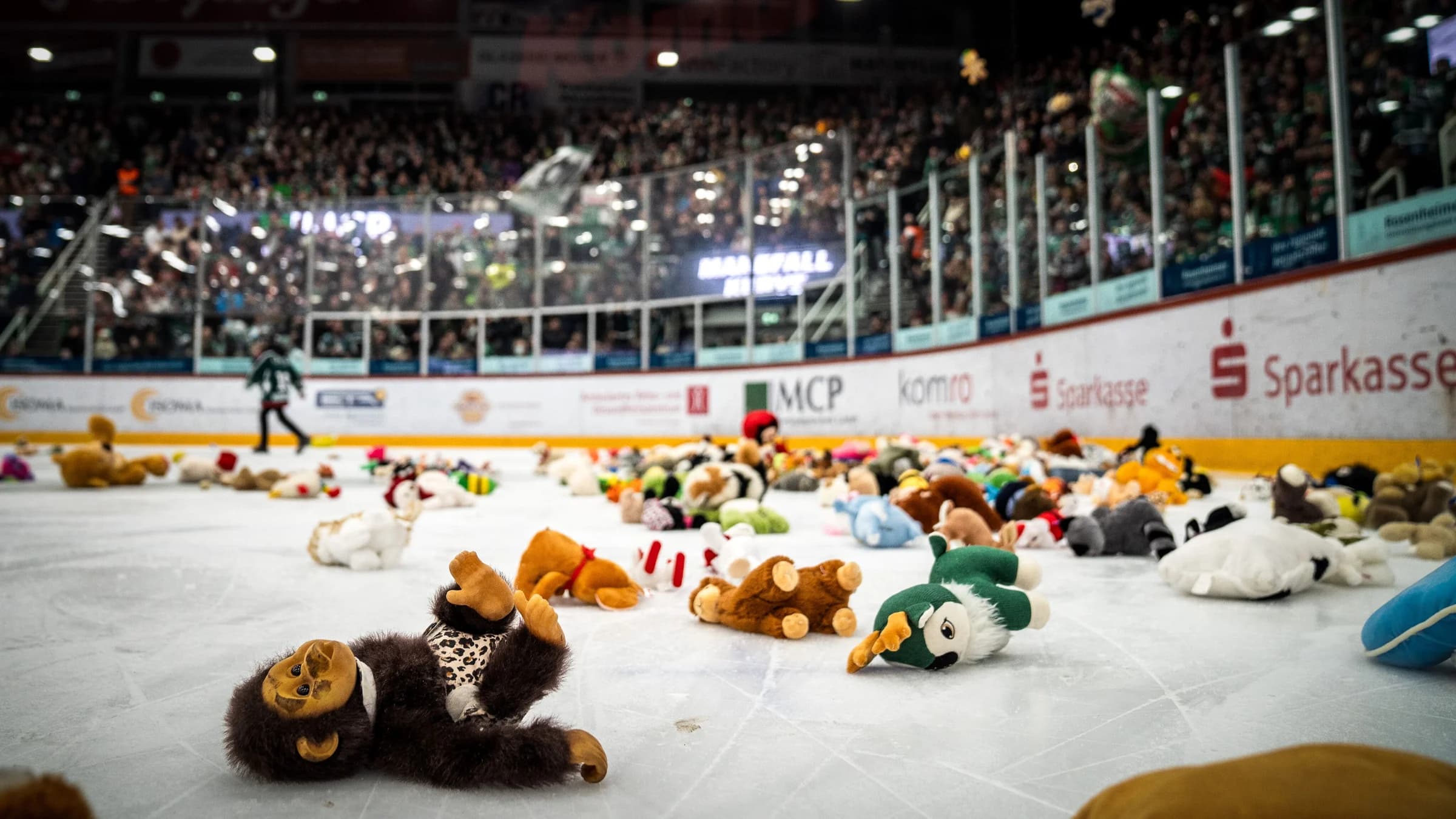 Teddy-Bear-Toss im ROFA-Stadion