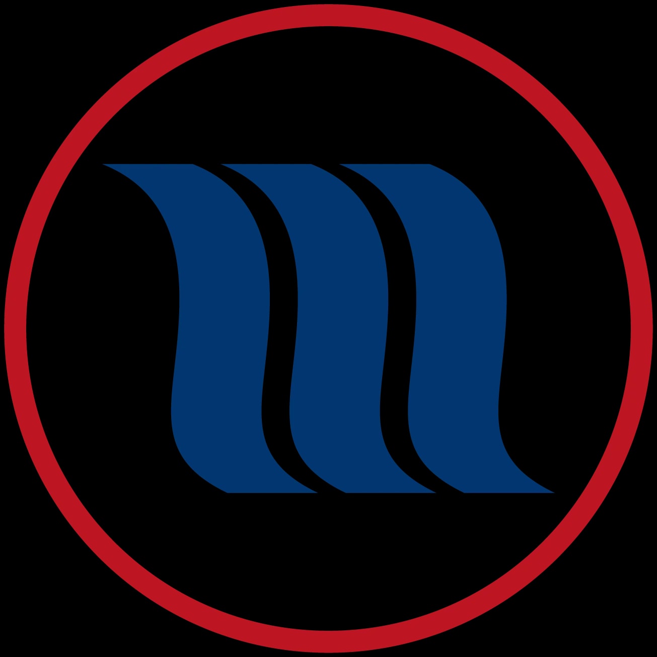 memon bionic instruments GmbH