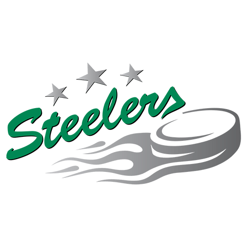 SCB Logo