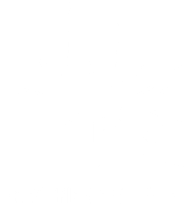 Dresdner Eislöwen Logo